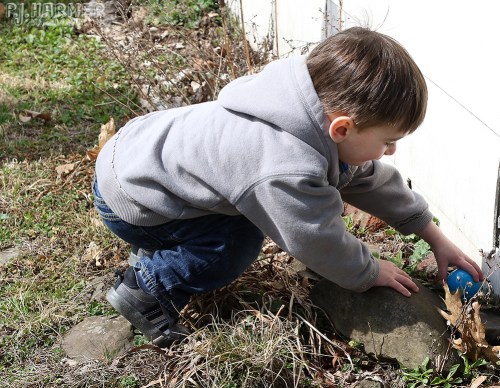 Finding his third egg!