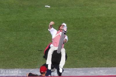 Throwing hot dogs in Reading.