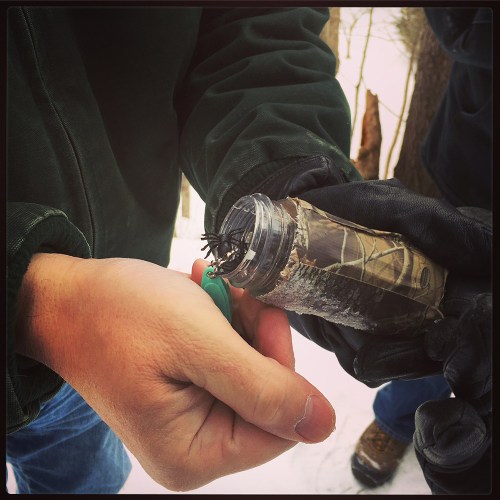 Not a lot was inside this one!