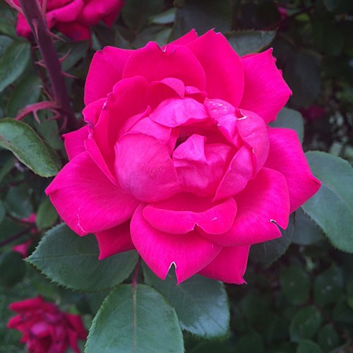 Color all around us!