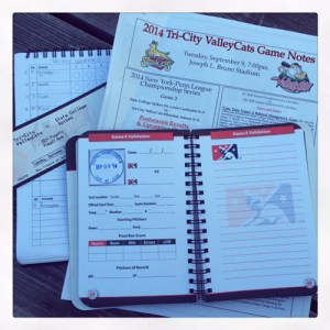 Everything I need at a game!